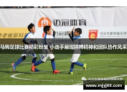 马驹足球比赛精彩纷呈 小选手展现拼搏精神和团队协作风采